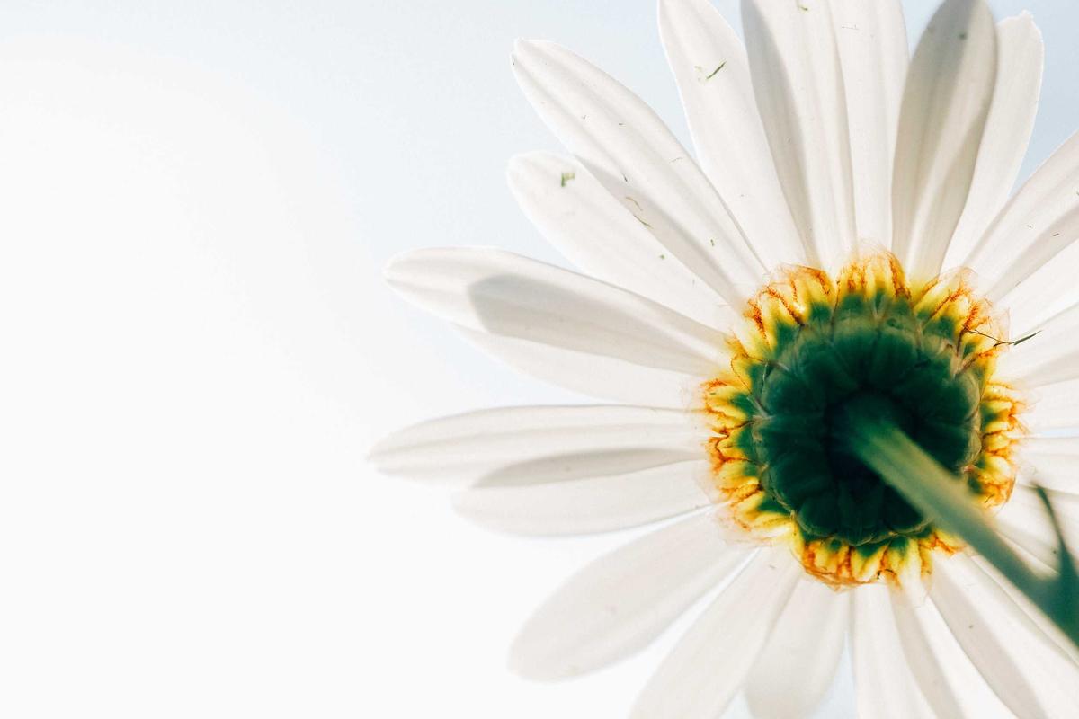 Replacement Relief: What Counts as Like-for-Like